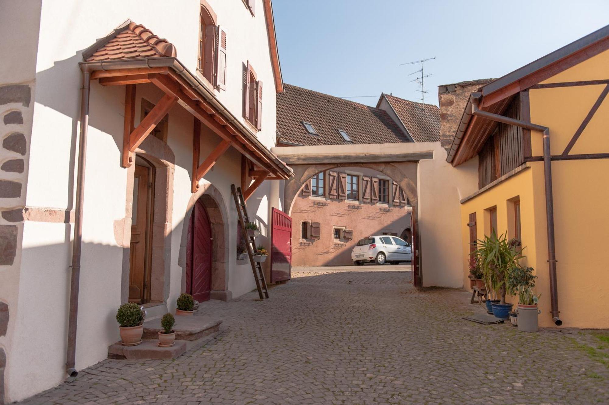 La Maison D'Emilie Pfaffenheim Dış mekan fotoğraf